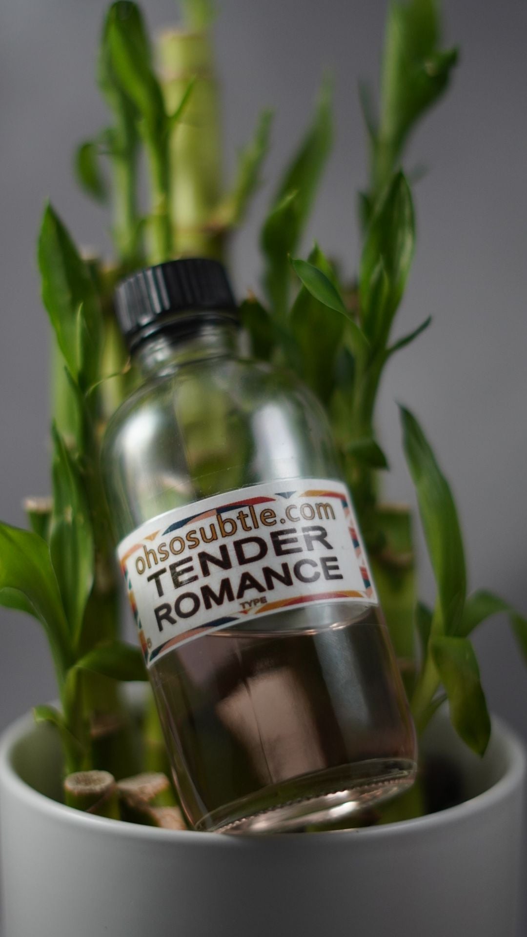 Our Impression of Tender Romance by R.L.