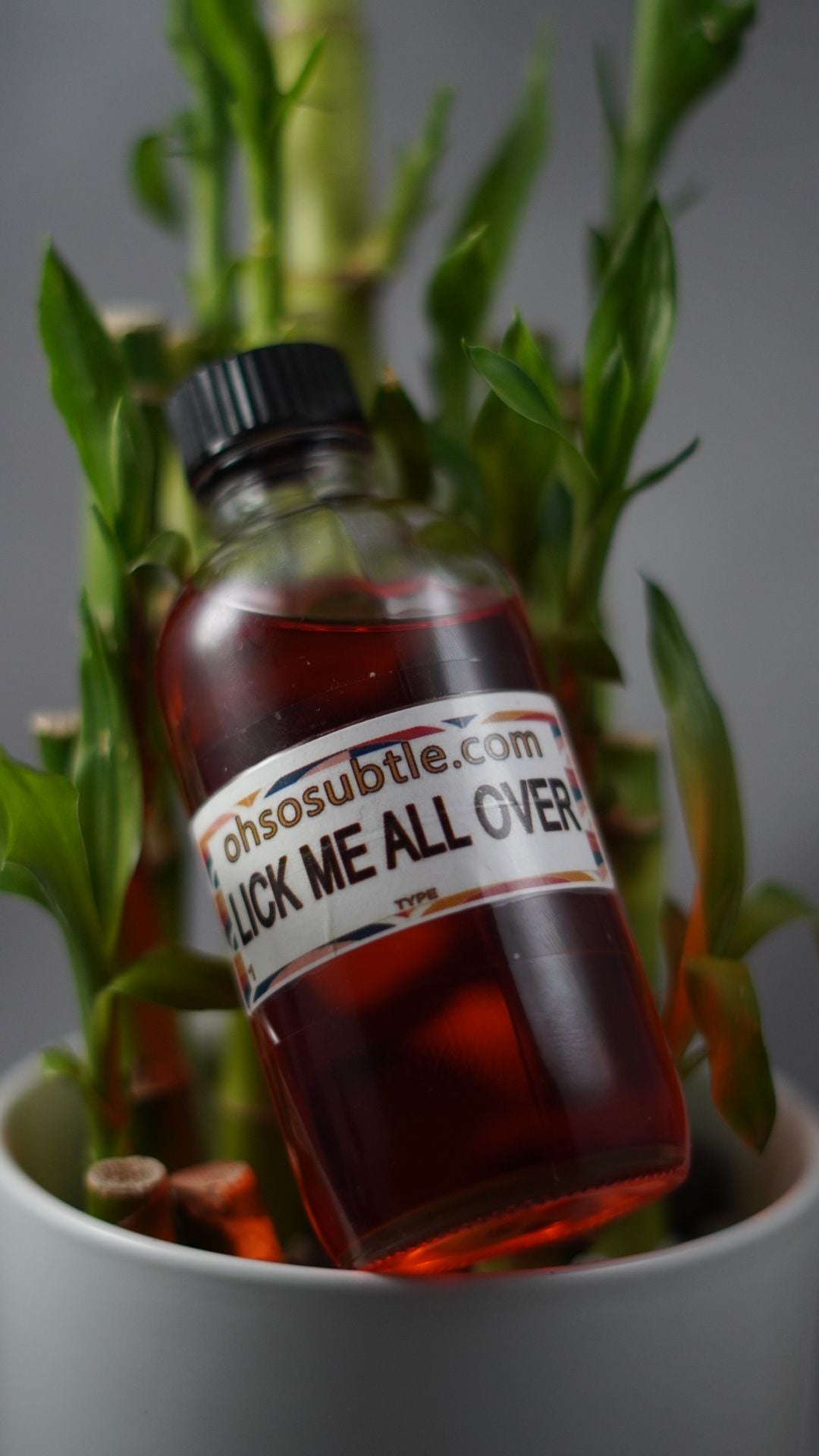 Our Impression of Lick Me All Over