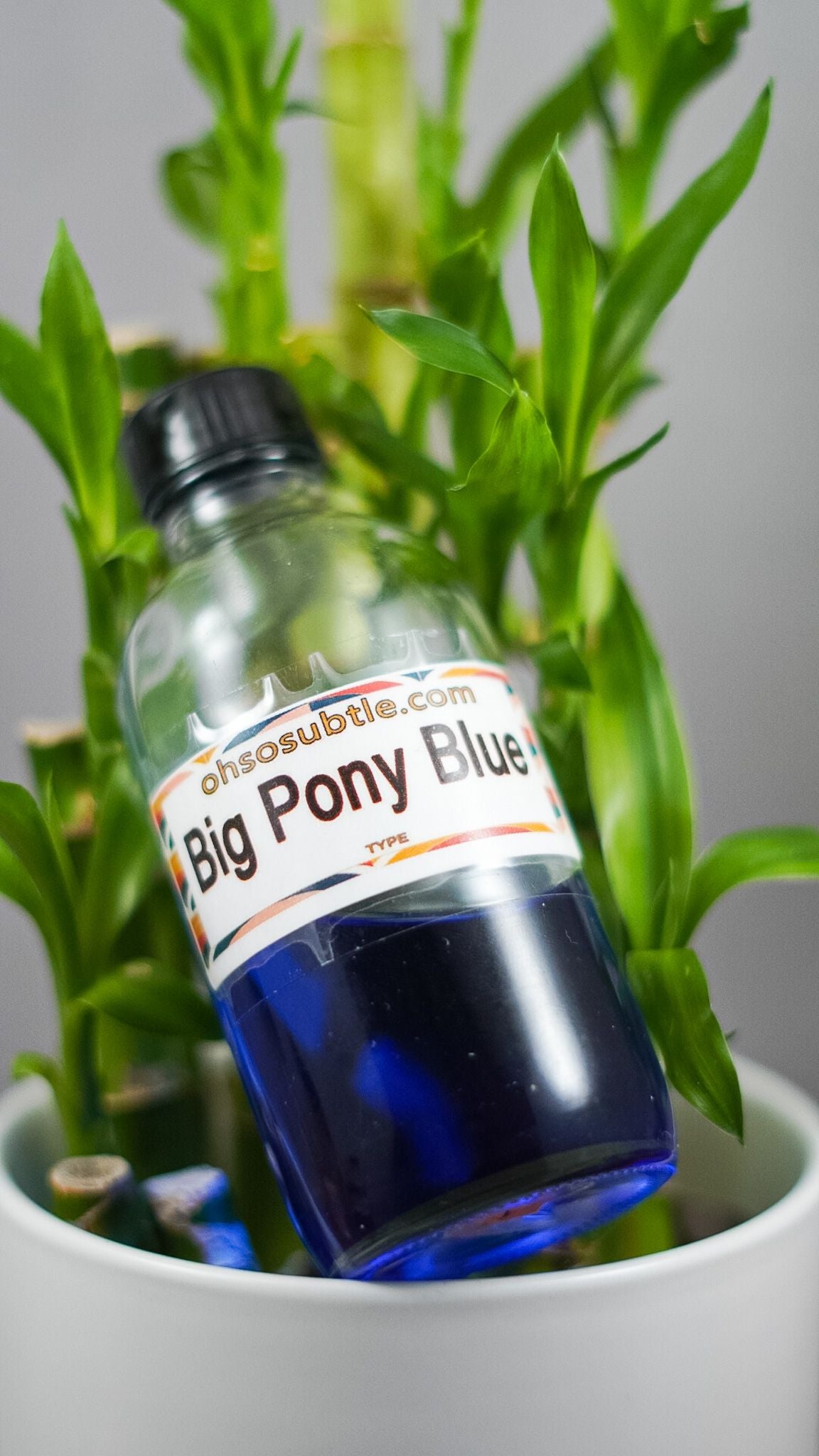 Our impression of Big Pony Blue