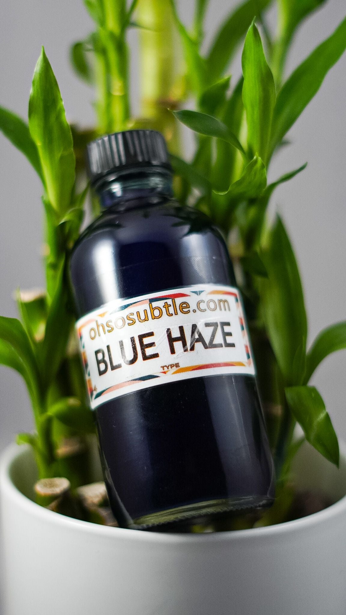 Our Impression of Blue Haze