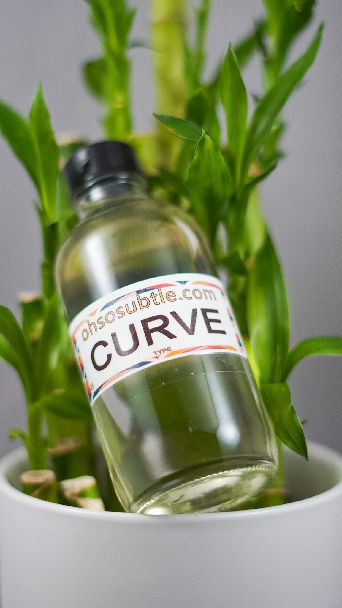 Our Impression of Curve