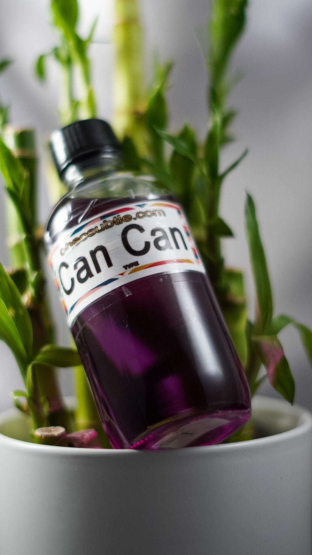 Our Impression of Can can by Paris Hilton