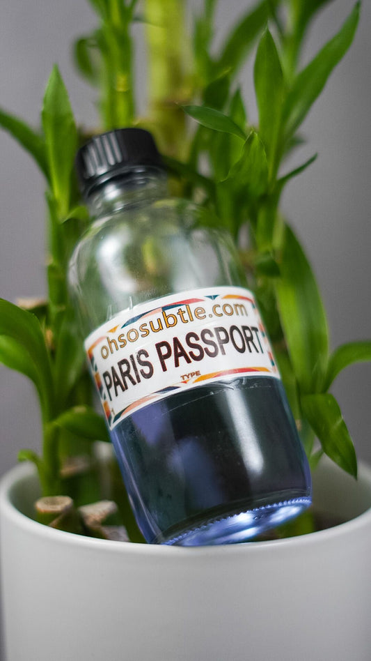 Our Impression of Passport Paris by Paris Hilton