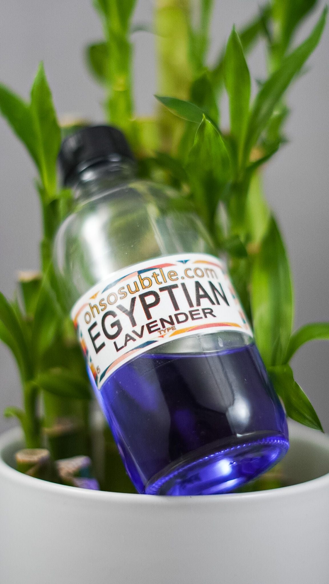 Our Impression of Egyptian Lavender